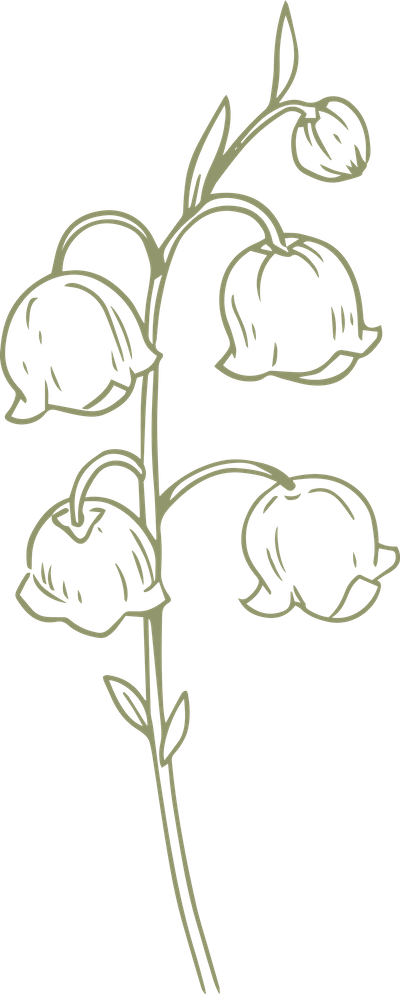 e8a05b3e 2b04 4b09 9c8f 8bfd363a8286 converted 04 20251207155815 tffh6.png