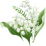 7b524ac9 91ba 4cc2 9bb9 5fc78e4cdb79 02 20251207153217 9gx0j