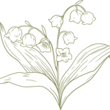 e8a05b3e 2b04 4b09 9c8f 8bfd363a8286 converted 06 20251207160309 pfth8