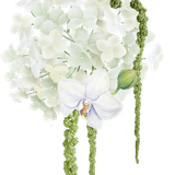 thiep thanh dat element 0019 15 20251010160529 kgwqz