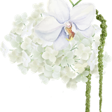 thiep thanh dat element 0002 32 20251010170122 ijn7k