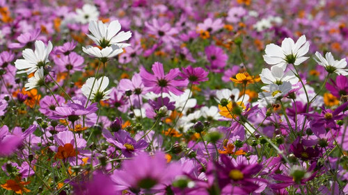 4K 120fps edited to 30fps..jpg