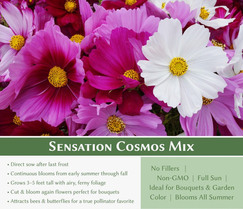 Seeds Secondary Cosmos.jpg