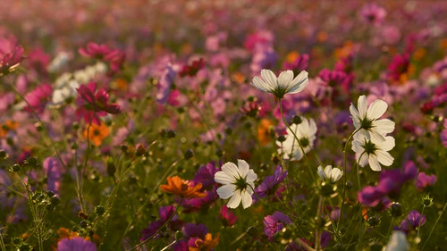 4K 120fps edited to 30fps..jpg