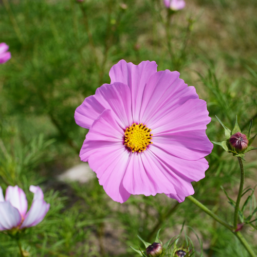 72 1 9867ae7b 032b 4e02 b520 344d9ac1c824.png