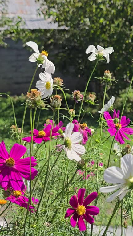 You will see part of Iran's beautiful and pristine nature in the spring. Here is from the villages o.jpg