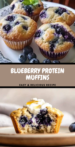 5de0b4d6 6938 4b96 8bed dc5844ff7b8b.png