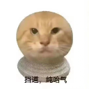 resized image (2).png