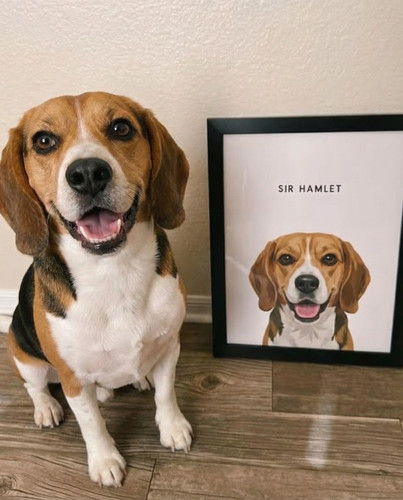 hf 20260306 091938 23806447 42d1 4cb0 a60f 737230e2169a.jpg