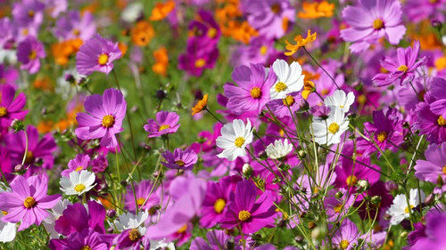 4K 120fps edited to 30fps..jpg