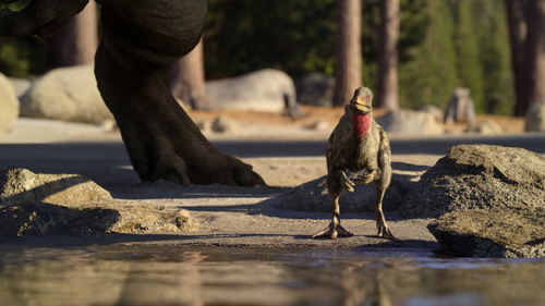 20260306 223021 734801.png