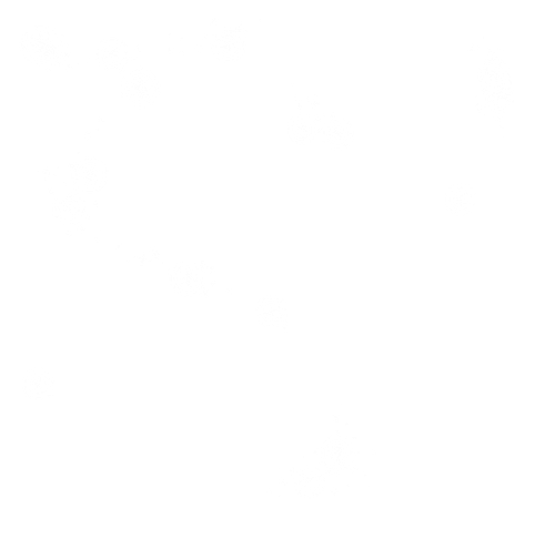 kits tammys welt canada dreams (79).png