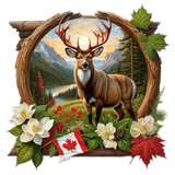 kits tammys welt canada dreams (19)