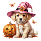 kits tammys welt sweet spell (12)