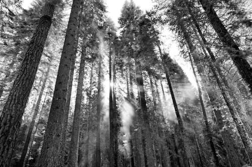 Picsart 26 03 05 01 15 27 589.jpg