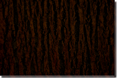 ec94b32dffc4d7975aeda8829d169922.png