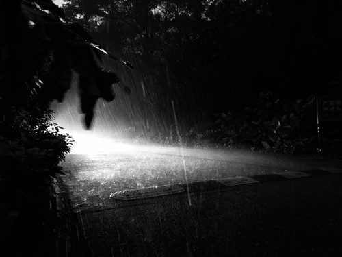 Image 1763726333960.jpg