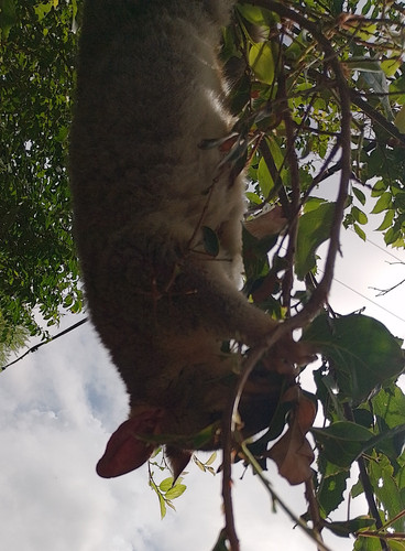 IMG 20260306 081210 HDR~2.jpg