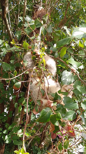 IMG 20260306 081208 HDR~2.jpg