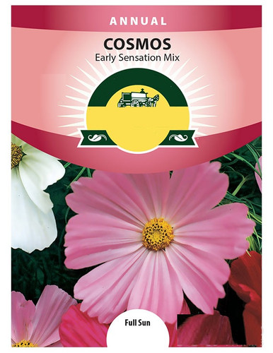 25 75592 Cosmos Sensation Mix Front jpg.jpg