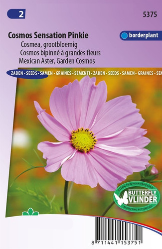 32 schmuckkoerbchen sensation pinkie cosmos bipinnatus jpg.jpg