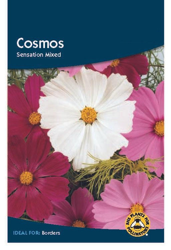 31 Cosmos Sensation Mixed 600x jpg.jpg