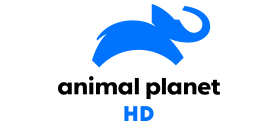 1219 animal planet hd.png
