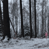 YouCut 20260129 071552471 GIFLab 20260202 072437.gif