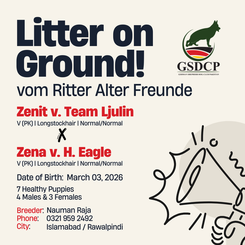 uc?export=download&id=1HOHte eLtXkTOy1ejSSOFUt YFYnO36K.png