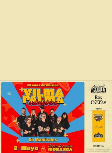 BOLETA VILMA PALMA (1).jpg