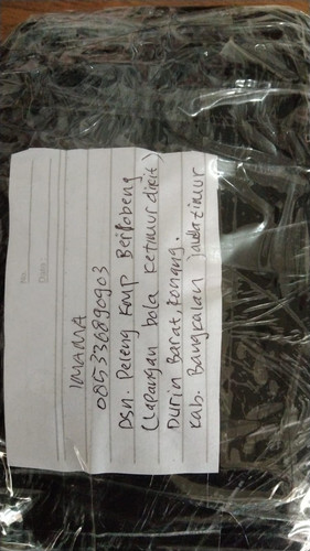 renditionDownload (11).jpg