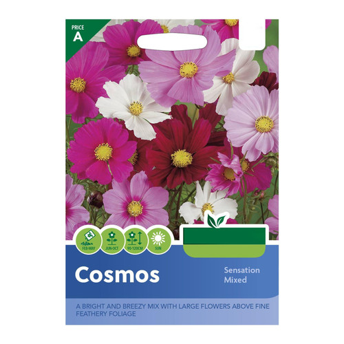 66 cosmos sensation jpg.jpg