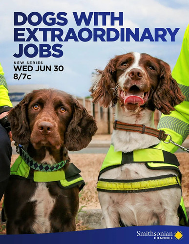 206 01 狗狗的非凡工作 第一季.jpg