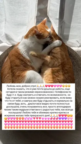 IMG 20260306 084855 474.webp