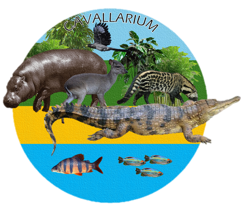 Blijdorp logo thing.png