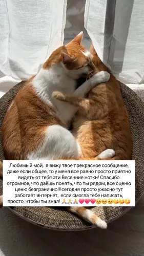 IMG 20260306 140645 741.webp