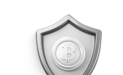 metal shield with cryptocurrency symbol in the cen 1 (2).png