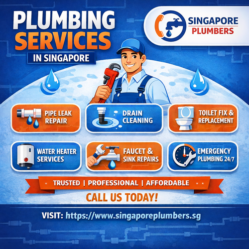 Plumbing services in Singapore infographic.png