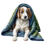 kits tammys welt cold october (6)