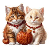 kits tammys welt autumn fun (10)