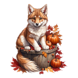 kits tammys welt autumn fun (12)