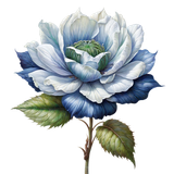 kits tammys welt cold october (85)