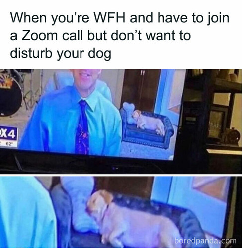 white collar humor 61 69a97d97e26b7 700.jpg