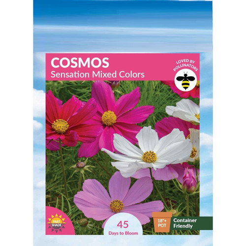 52 5554 Cosmos Sensation Front 2000px jpg.jpg