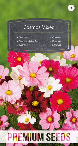 39 WORLD 14205955 PA VS jpg.jpg