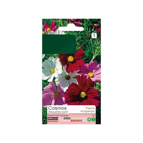 43 cosmos seed pouch sensation varies jpg.jpg