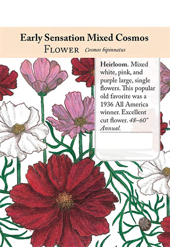 55 o o Yab3 PLem Amt UPh OWoi Aw 0 gps generated jpg.jpg