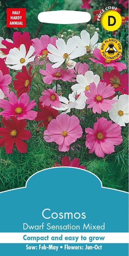 51 17324 20 Cosmos 20 Dwarf 20 Sensation 20 Mixed.jpg