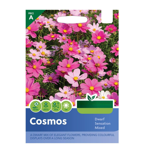 61 cosmos dwarf jpg.jpg