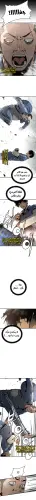 5.webp